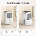 POYANK Dehumidifier with Drain Hose, Dehumidifiers for Home Basement Bathroom, Overflow Protection, 24H Timer